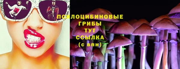 МДПВ Михайловск