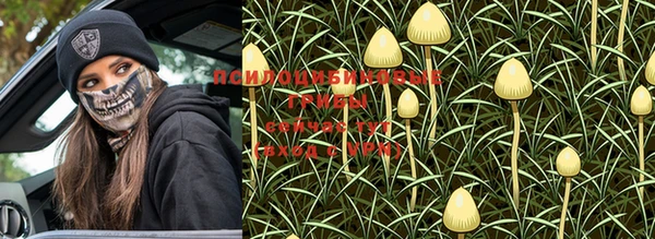 марки nbome Медвежьегорск