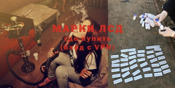 индика Михайловка