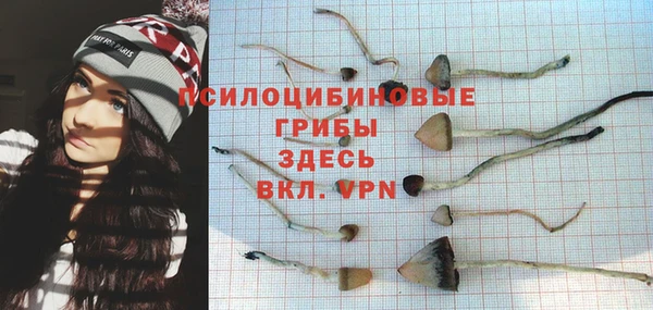 ECSTASY Мегион