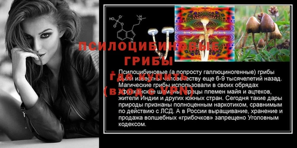 ECSTASY Мегион