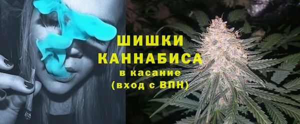 индика Михайловка