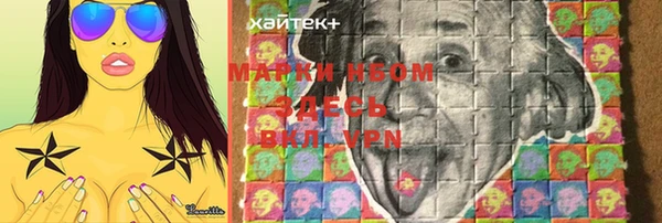 индика Михайловка