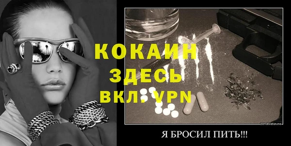 индика Михайловка