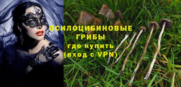 индика Михайловка