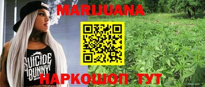 индика Балахна