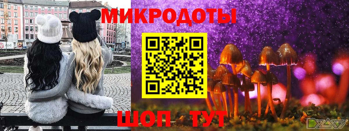 Зеленогорск  Галлюциногенные грибы Magic Shrooms  Вход с VPN 