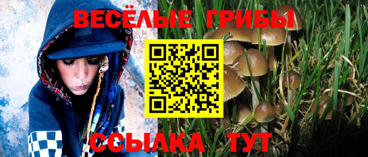 Псилоцибиновые грибы прущие грибы  Зеленогорск  Псилоцибиновые грибы MAGIC MUSHROOMS 