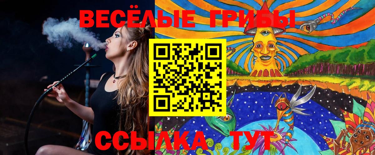 Псилоцибиновые грибы прущие грибы Зеленогорск