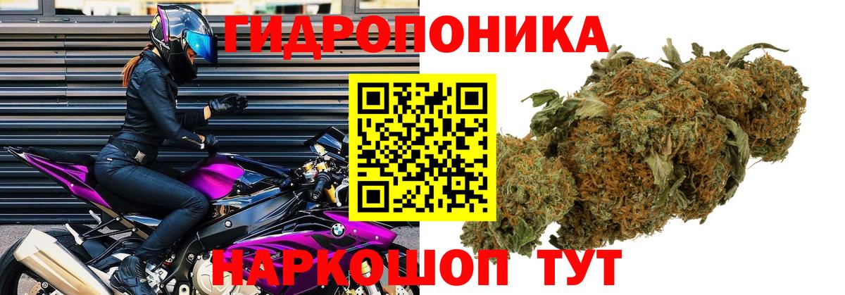 Конопля Amnesia Зеленогорск